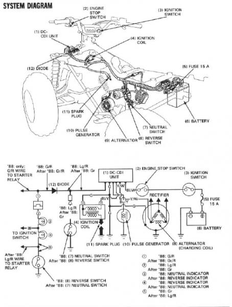 Honda 300 Fourtrax Pulse Generator - View All Honda Car Models & Types