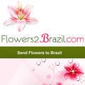 Brazil2