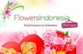 Florist24x7