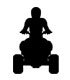 WIQuadMom
