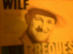 hulkster5