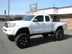 muddigger2012