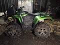 mudprokid