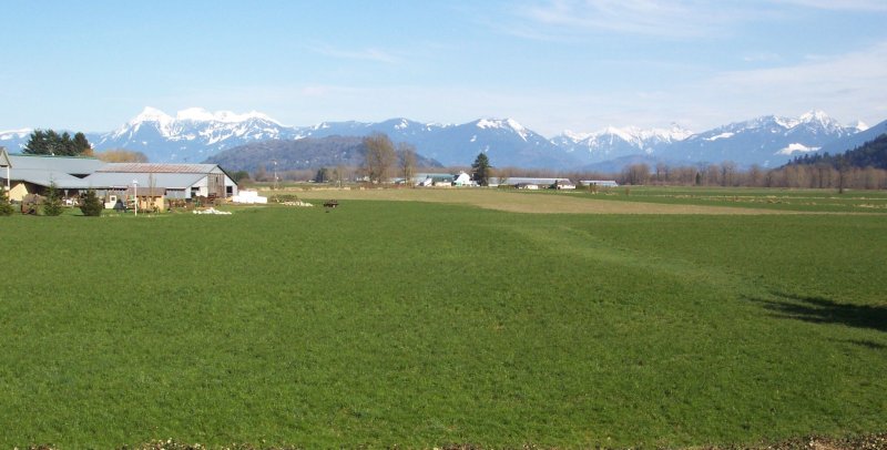 Looking  East.jpg