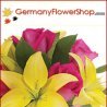 flspgerman1