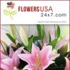 flowersusa1