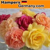 Hamgermany