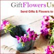 Giftflower