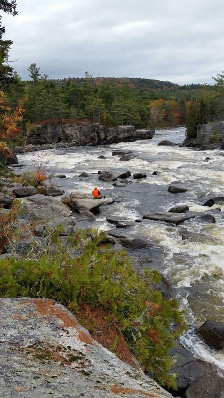 51023350_ripriver.thumb.jpg.2e1553a7c151ee0aa389ca42824fec5a.jpg