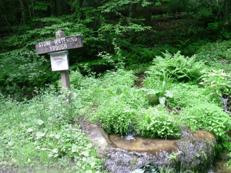 PTDC0234 (Medium).JPG