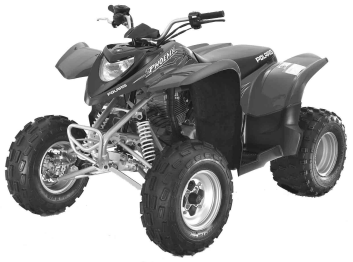 2006 PHOENIX 200