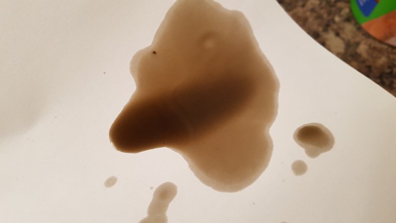 20181203_174230.jpg