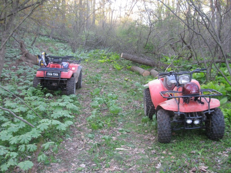 April 2013 091.JPG