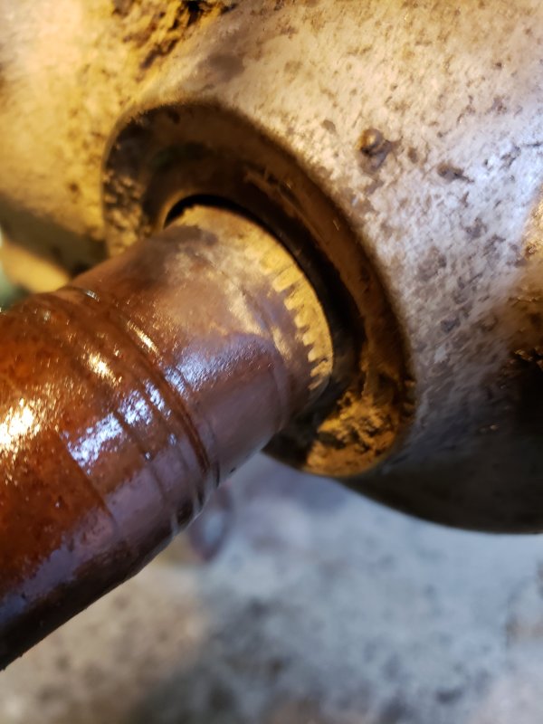 20190329_132349.jpg