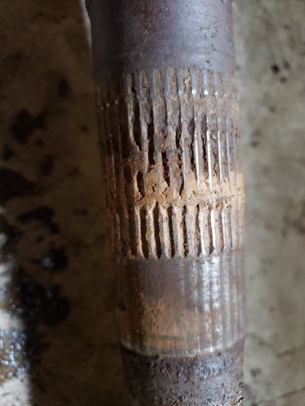 20190330_094402.jpg