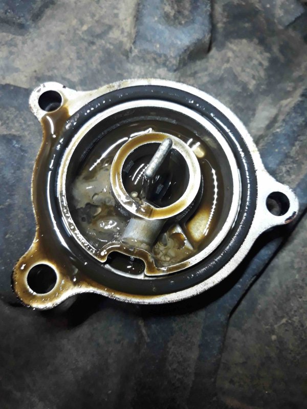 Oil_filter_cover.thumb.jpg.0613b2ed1b41b9d5855d62b0917b9a81.jpg