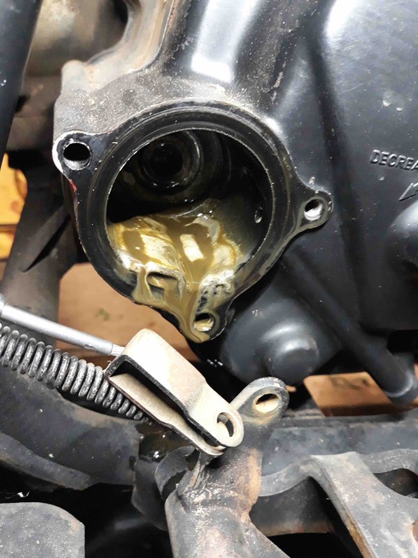 Oil_filter_housing.thumb.jpg.72c2e1ea9e7ba8839174a0803f75a14d.jpg