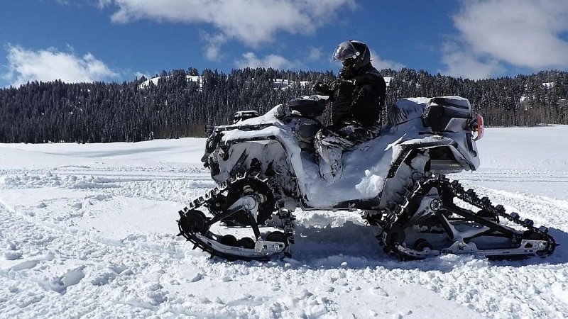 Snowy_2.jpg