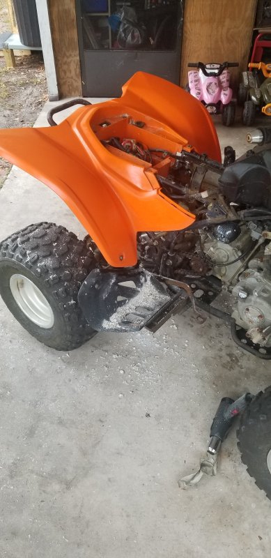 20190317_110215.jpg
