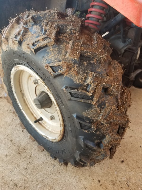 20190406_162037.jpg
