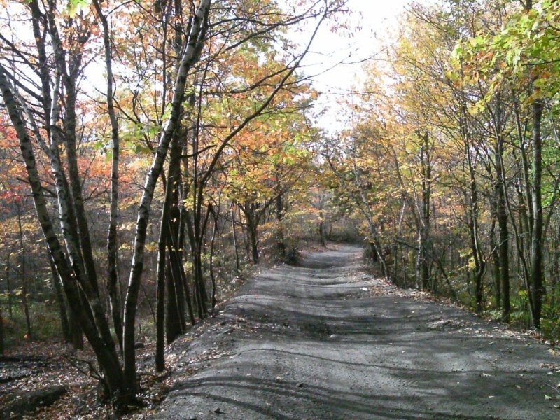 PTDC0097 (Medium).JPG