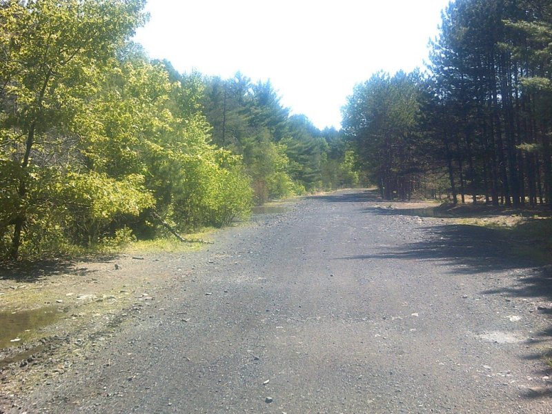 DSCF0070.JPG
