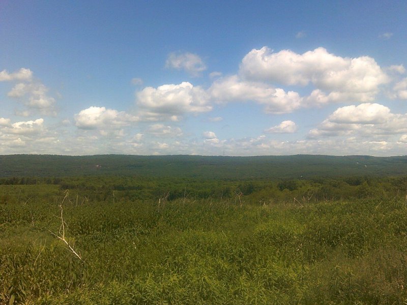 DSCF0079.JPG