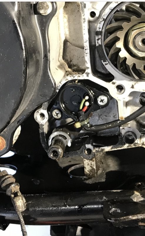 89AF74BD-2962-4AC3-B041-B151DBC10E5A.jpeg