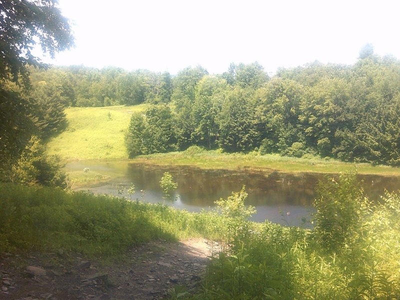 DSCF0015.JPG