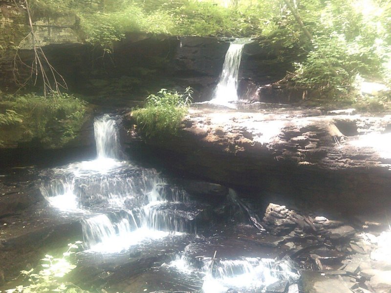 DSCF0019.JPG