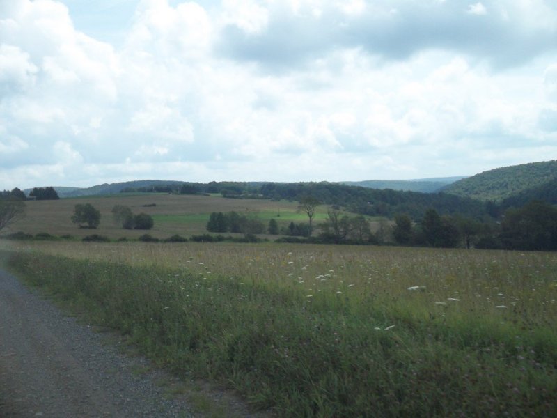 100_1232.JPG