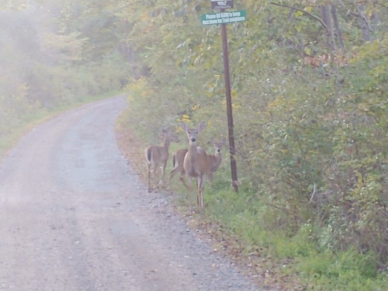 0919191851.jpg