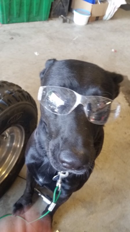 20190918_141620.thumb.jpg.a5b2976f5e3208b55595c92d1222f3b5.jpg