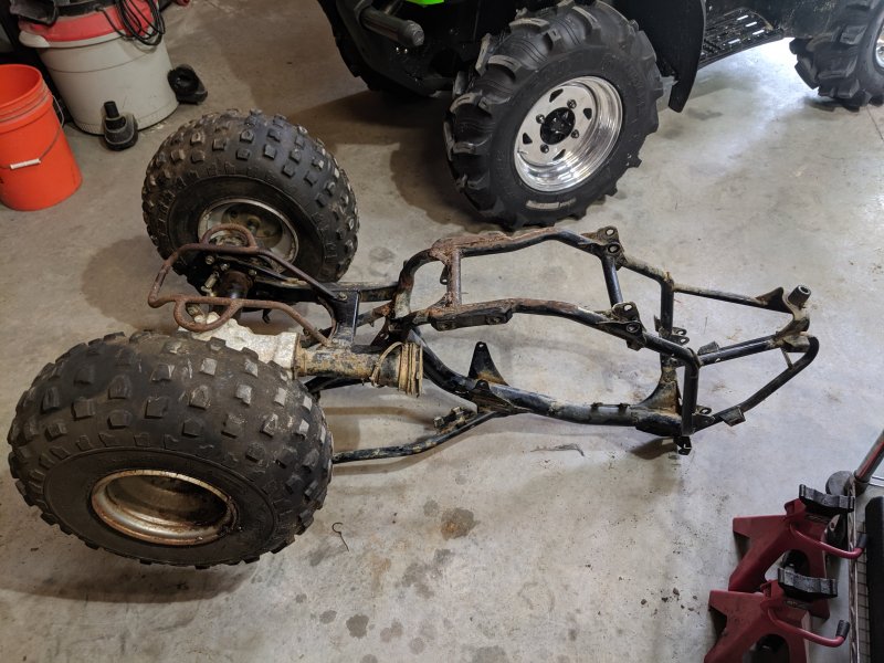Raptor80 (9).jpg