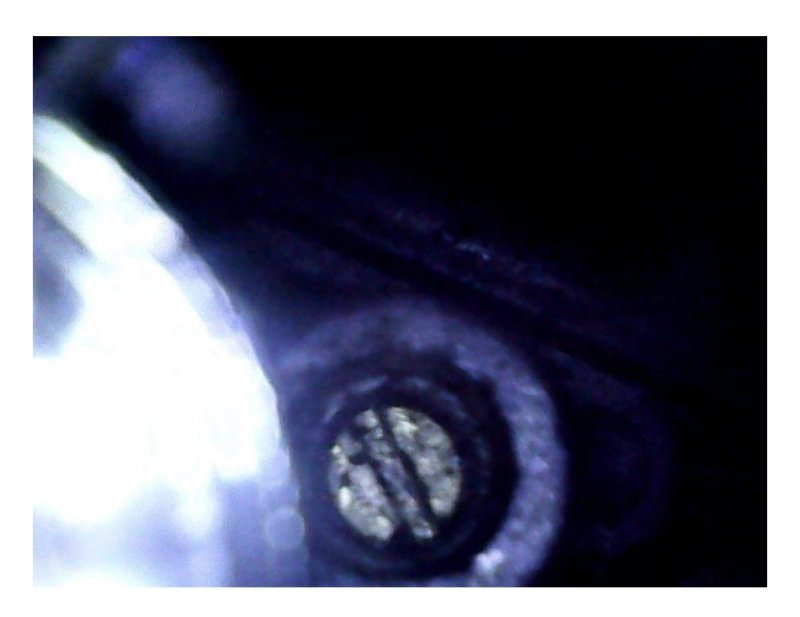 202D947C-2784-4C82-B69D-ED133C805D77.jpeg