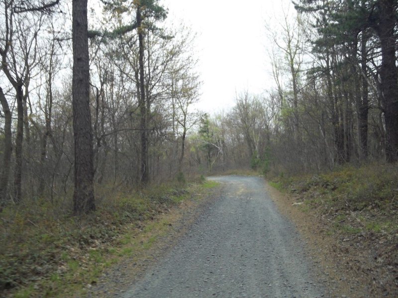 100_2873 (Medium).JPG