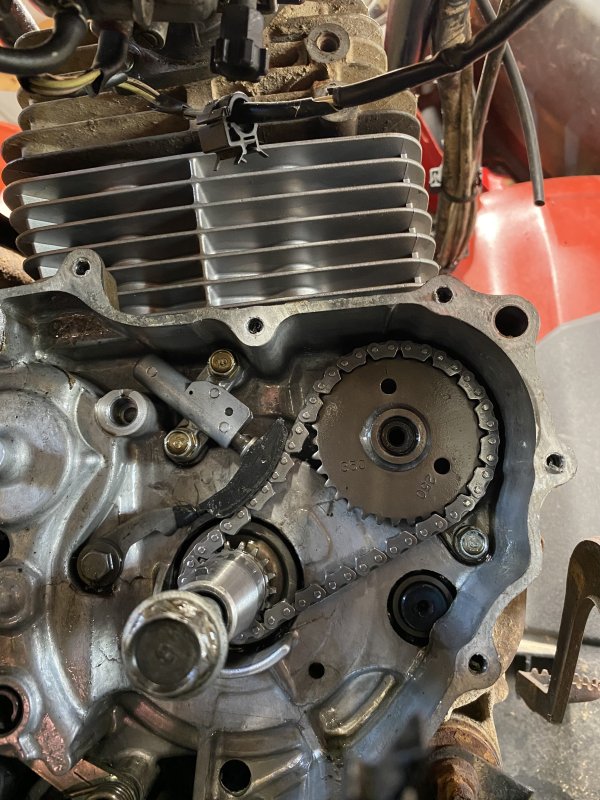 TRX 350 Timing Chain.jpg