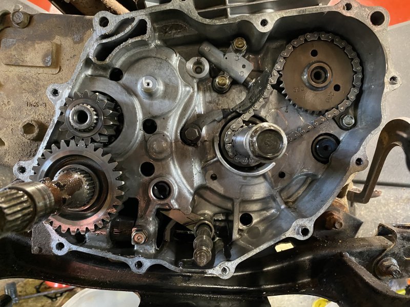 TRX 350 Rear Crank Case.jpg