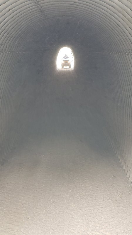 20211126_113221.thumb.jpg.21e7a5bed415de16369a36014a31a30d.jpg