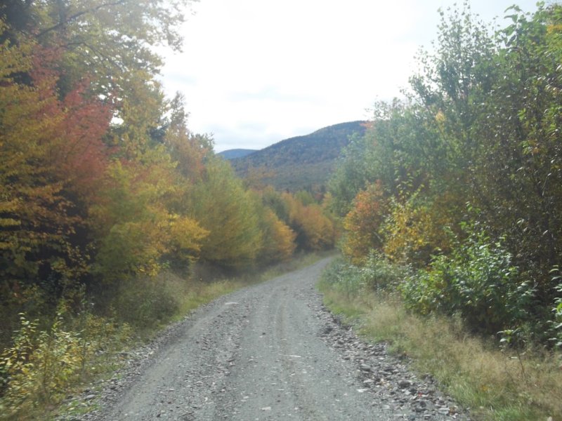 100_7887.JPG