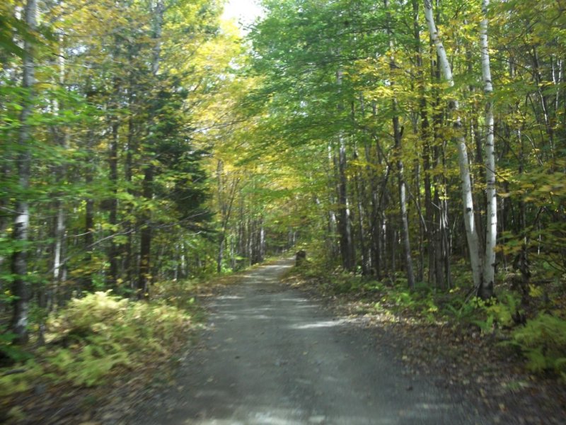 100_8006.JPG