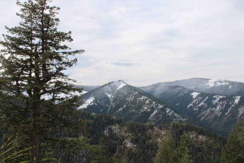 FarView.JPG