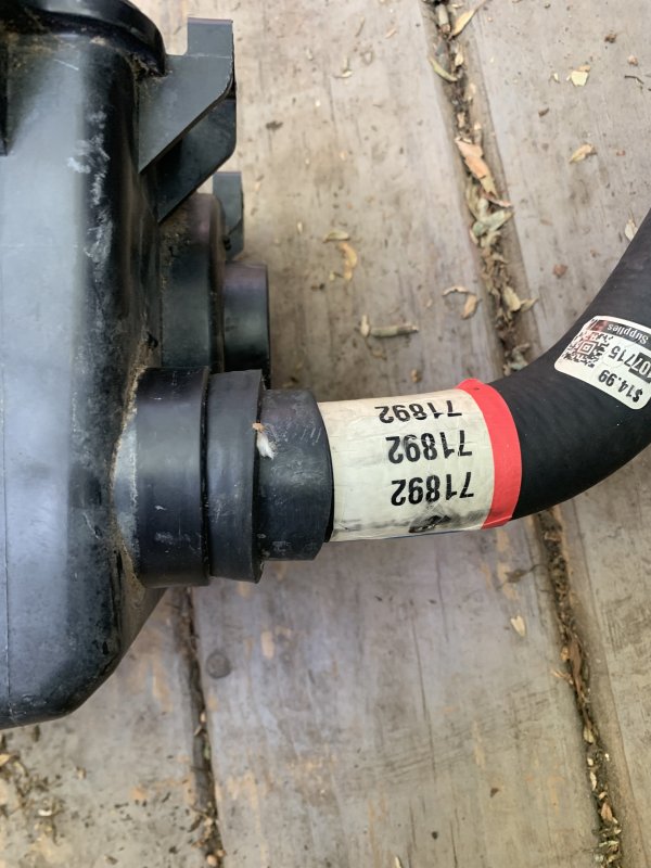 IMG_3708.thumb.jpg.d0a4868a0cb9ed82c4dd75957f7b8426.jpg