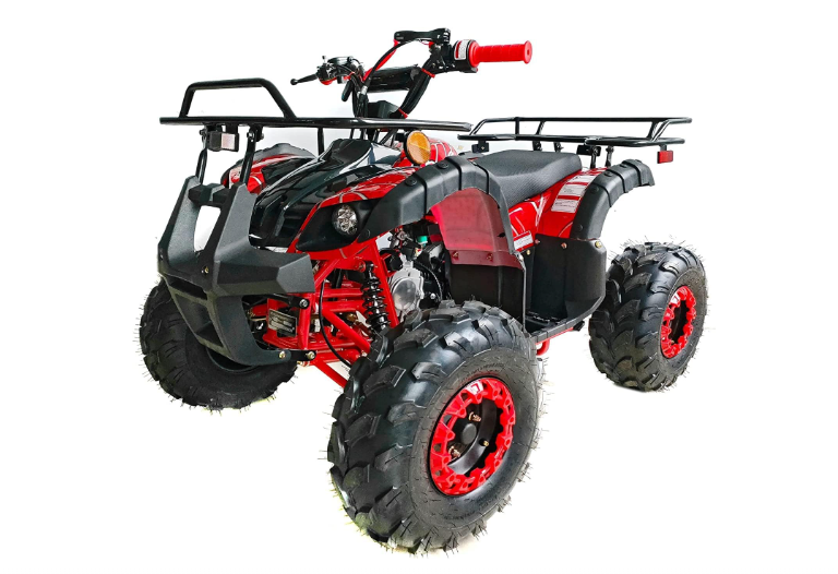 TaoTao ATA125D