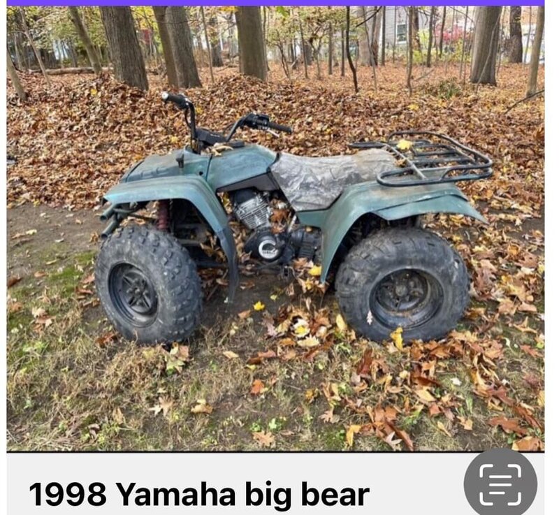big bear.jpg