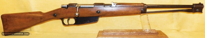 ITALIAN-CARCANO-M91-38-CAVALRY-CARBINE_102335991_109203_93EAF6C53AD71781.jpg