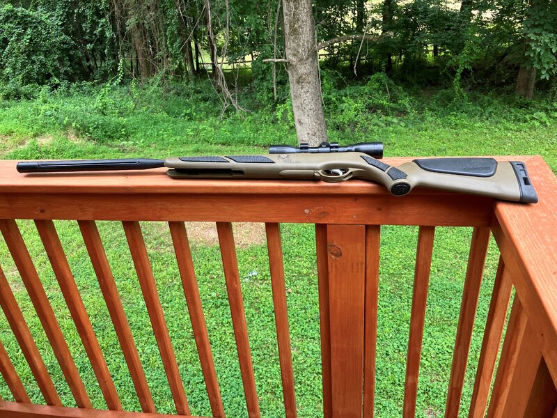 bonecolllector.jpg