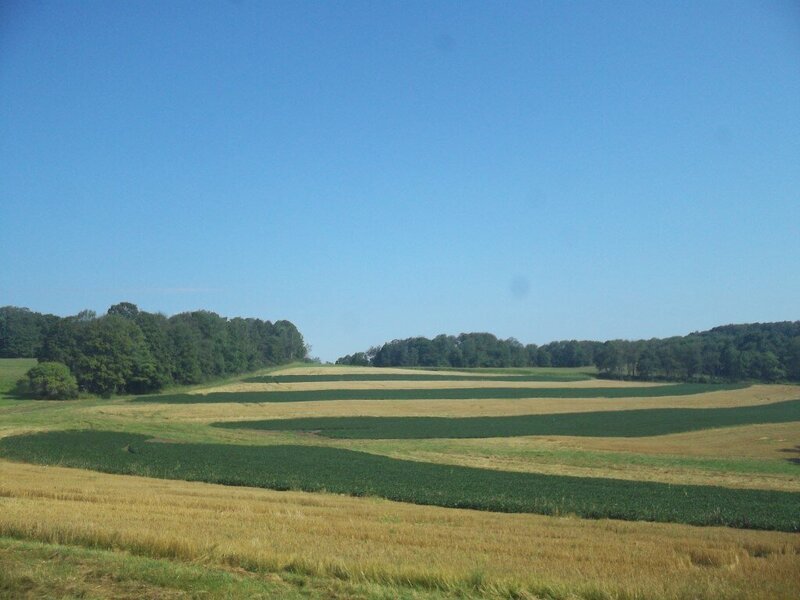 100_1285.JPG