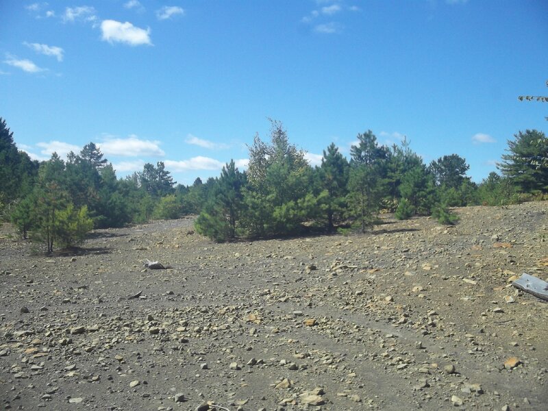 100_1490.JPG