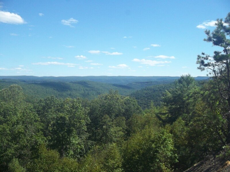 100_1519.JPG